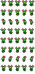 Maractus